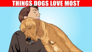 how to assist small dogs in mating [upl. by Nayb]