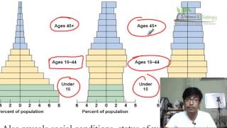 Age structure diagrams population pyramid [upl. by Nivrehs]