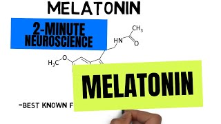 2Minute Neuroscience Melatonin [upl. by Iveel]