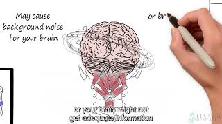 Brain body and spine [upl. by Adamsen195]