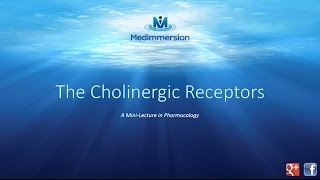 The Cholinergic Receptors [upl. by Terrab]