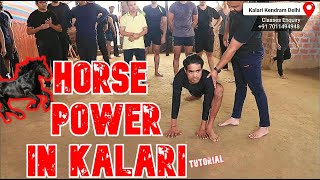 Live class explanation  Attain agility of a Horse [upl. by Kcirad]