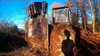 Abattage Débardage gros chêne du LIMOUSIN [upl. by Hedy]