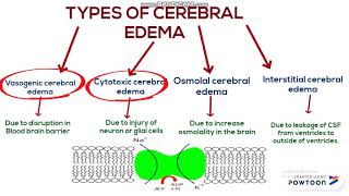 Cerebral edema [upl. by Crysta810]