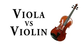 VIOLA vs VIOLIN [upl. by Mathilde805]