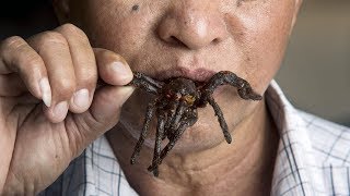 Inside The Cambodian Town That Eats Spiders [upl. by Aelanej]