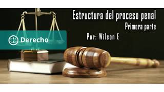 Estructura del proceso penal parte 1 [upl. by Hassi]