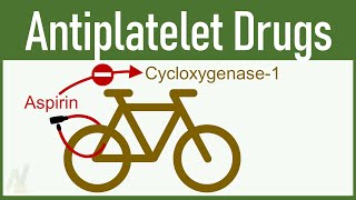 Antiplatelet Drugs Aspirin Clopidogrel etc [upl. by Inoek]