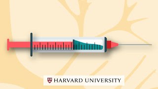 How do DNA Vaccines work [upl. by Nnaeel]