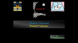 Obstetric Ultrasound Lecture 01 Normal 1st Trimester [upl. by Elyak]