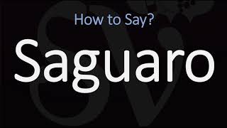 How to Pronounce Saguaro CORRECTLY [upl. by Ahsal]