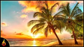 Island Reggae Music  Upbeat Tropics  Tropical Island Beach Music [upl. by Tice]