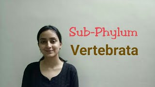 SubPhylum Vertebrata  Biological classification part 22  Class XILecture 50 [upl. by Ulphia614]