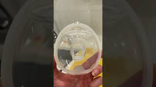 Medela HandsFree Collection Cups – Info About the O Ring Part [upl. by Wendie]