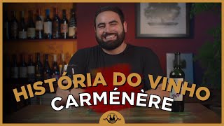 A HISTÓRIA DO VINHO CARMÉNÈRE [upl. by Maximilien]