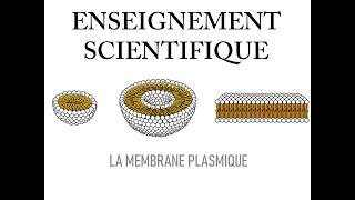 Cellule et Membrane plasmique [upl. by Colwin]