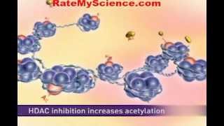 Histone acetylation and cancer Rate My Science [upl. by Farrel]