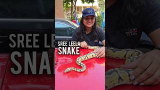 This Snake Name is Sree Leela [upl. by Graf]