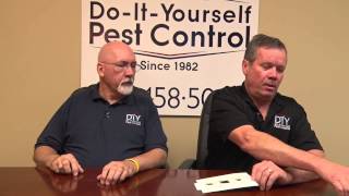 Get Rid of Drain Flies  Drain Fly Control Products [upl. by Perr]