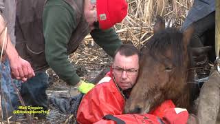 Dramatic horse rescue in North Smithfield RI [upl. by Kreiker]