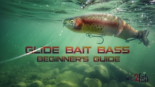 Glide Bait Fishing Bass A Beginners Guide [upl. by Hugh]