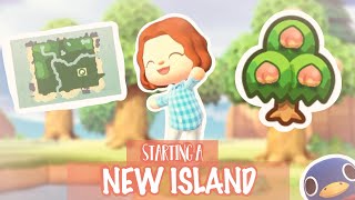 STARTING A NEW ISLAND 🏝 Day 1  Animal Crossing New Horizons [upl. by Anyar]