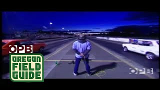 Electric Car Drag Racing  Oregon Field Guide [upl. by Nomled]