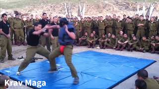 Israeli Soldiers Demonstrate Krav Maga [upl. by Nofets]