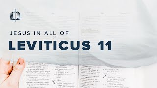 Leviticus 11  Clean and Unclean Animals  Bible Study [upl. by Ikim]