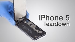 iPhone 5 Teardown  Step by step complete disassembly directions [upl. by Saticilef150]