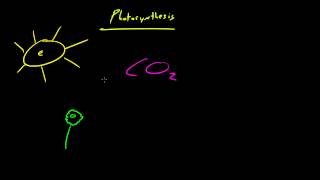 Biology Lecture  30  Autotrophs vs Heterotrophs [upl. by Avat297]