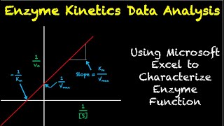 Enzyme Kinetics Data Analysis [upl. by Jenny]