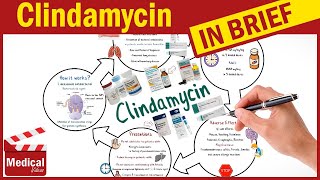 Clindamycin  Cleocin  What is Clindamycin Used For Dosage Side Effects amp Precautions [upl. by Lou]