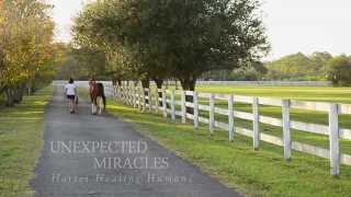 Unexpected Miracles  Horses Healing Humans [upl. by Mllly]