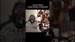 Teamoflouie Cat rap TikTok [upl. by Padraig]