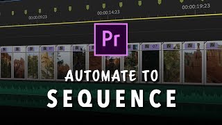 Working with Automated Sequences in Adobe Premiere Pro [upl. by Stalker]