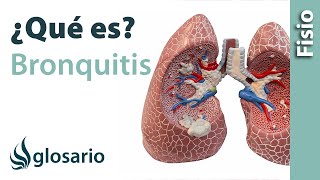 BRONQUITIS  Qué es qué estructuras afecta síntomas signos causas y tratamiento fisioterapéutico [upl. by Morna]