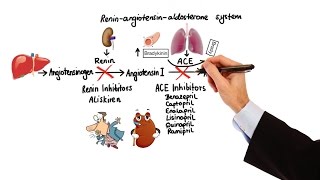 Pharmacology  HYPERTENSION amp ANTIHYPERTENSIVES MADE EASY [upl. by Matilda111]