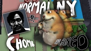 Normalny Chomik Explained [upl. by Eimma]