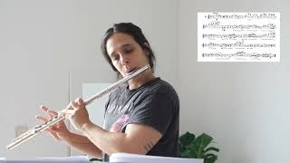 L Drouet 25 studies for flute  8 Adagio [upl. by Atterg]