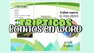 ✨💻 TRIPTICOS BONITOS en WORD [upl. by Salamone]