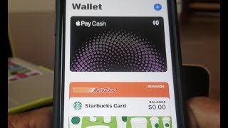 How To Add Reward Cards To Your Apple Pay [upl. by Nirual]