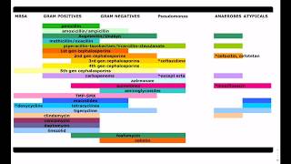 what is MRSA [upl. by Arehsat450]