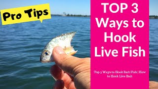 Top 3 Ways to Hook Bait Fish  How to Hook Live Bait [upl. by Irotal]