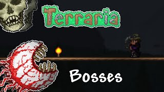 Terraria 14  The Guide to ALL Bosses [upl. by Edwine]