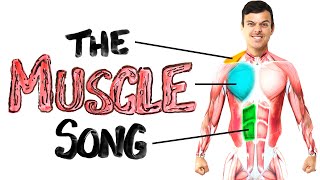 The Muscle Song Memorize Your Anatomy  SCIENCE SONGS [upl. by Carolina498]