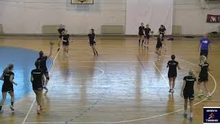 Handball Passing Drill 3 [upl. by Chelsy294]