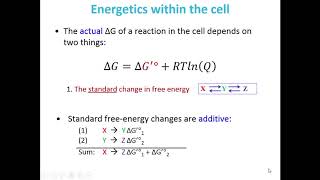 Chapter13 BioenergeticPart1 [upl. by Benjamin]