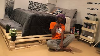 I MADE MY OWN PALLET BED [upl. by Nelaf]