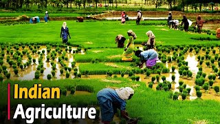 AGRICULTURE IN INDIA  Documentary [upl. by Murtagh]